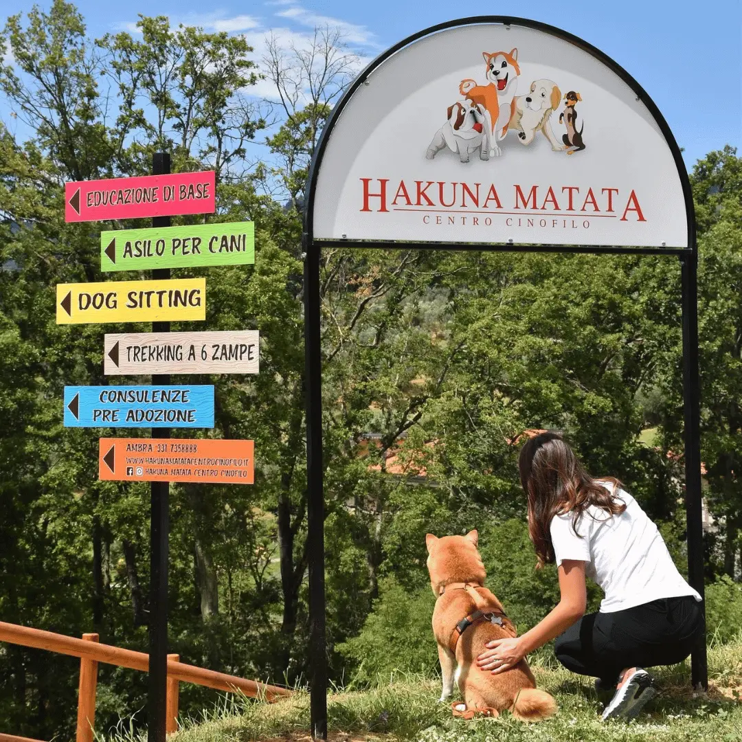 Campo Addestramento Hakuna Matata Centro Cinofilo Lamporecchio 2
